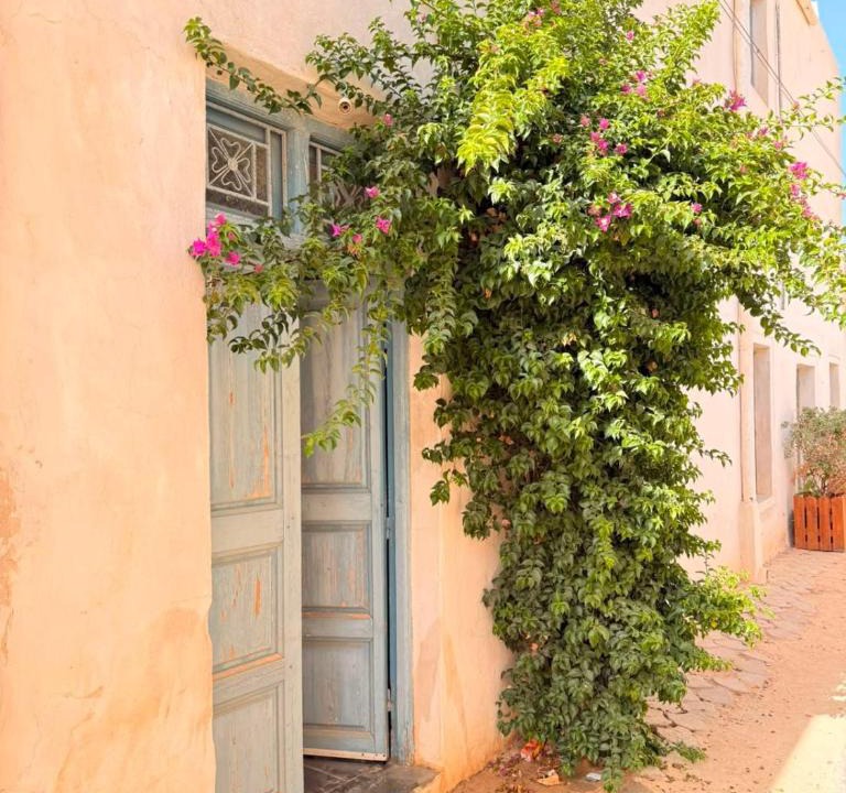Erriadh Apartment | Entre art et tradition, au cœur de Djerbahood