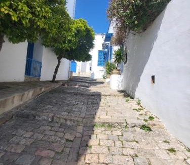 Sidi Bou Said Apartment | Au coeur de village de sidi bou