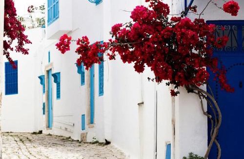 Sidi Bou Said Apartment | Au coeur de village de sidi bou