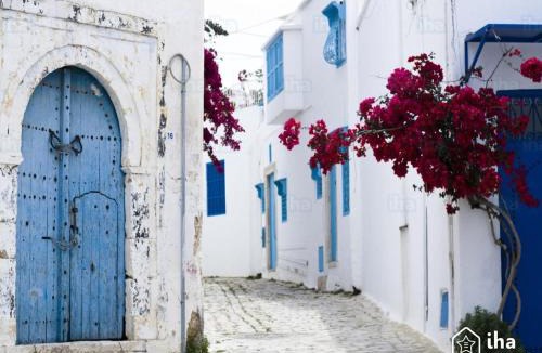 Sidi Bou Said Apartment | Au coeur de village de sidi bou
