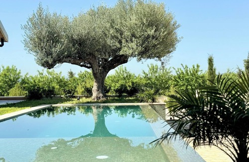 Jedaida Ski Chalet | Kenz Essia Luxury countryside escape near Tunis