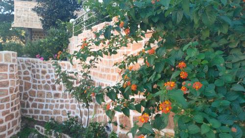 Cite Rmel Apartment | Le Chalet di Tabarka