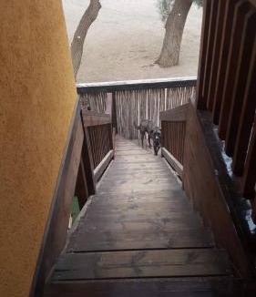 Eilat Apartment | middle path