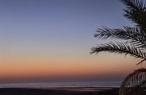 United Arab Emirates Villa | NatureLand Beach Villa