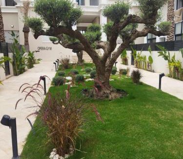 La Marsa Apartment | Olfa cosy appart