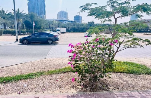 Jumeirah Village Circle Apartment | Small Single Room - STA Homes Dubai