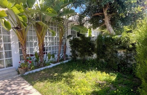 Hammamet Interieure House | Villa Tropicale