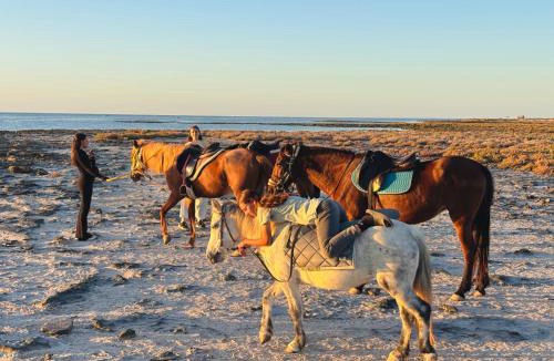 Erriadh Hostel | Wostel Djerba Djerbahood