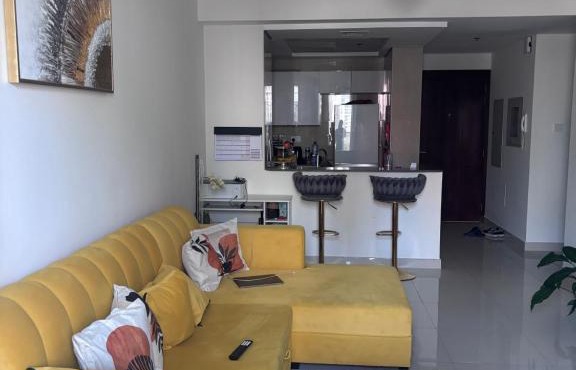 Burj Views 2 BHK Apartment