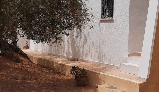 Dar El Janna 26 - the house of paradise