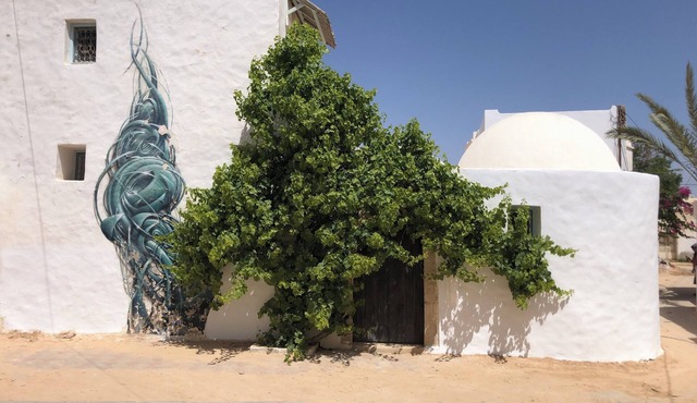 DAR FARAH : Charming holiday heritage home w private pool in Erriadh - sleeps 5