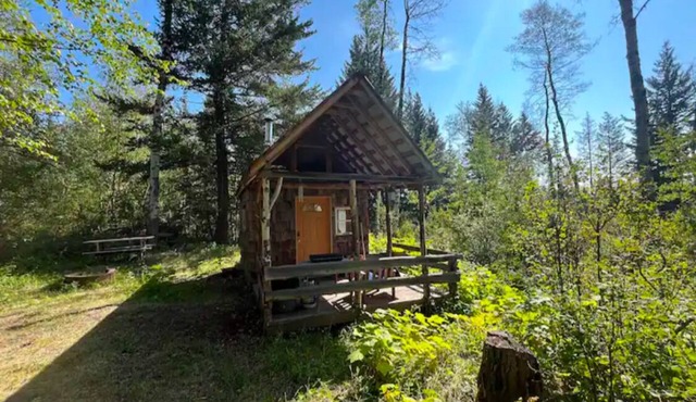 Delightful studio cabin near Pinantan Lake on 80 acres of land. in Pinantan Lake