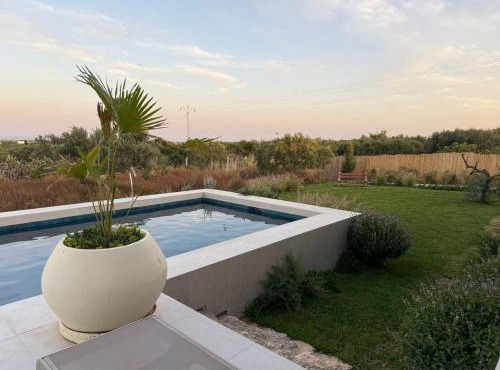 Domaine El Noor Pool and Panoramic Olive Grove Views
