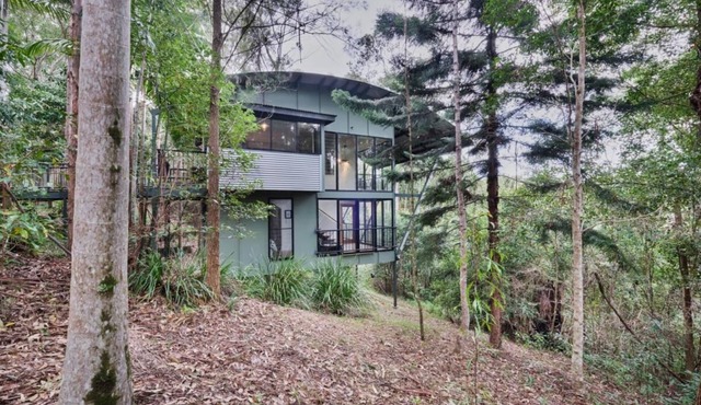 Ecoasis Forest Chalet – Nature Therapy Sanctuary in Smiths Creek