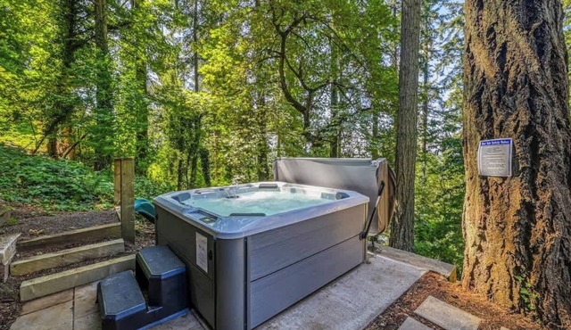 Forest-View Hot Tub 5 Min to UO Game Room in Eugene