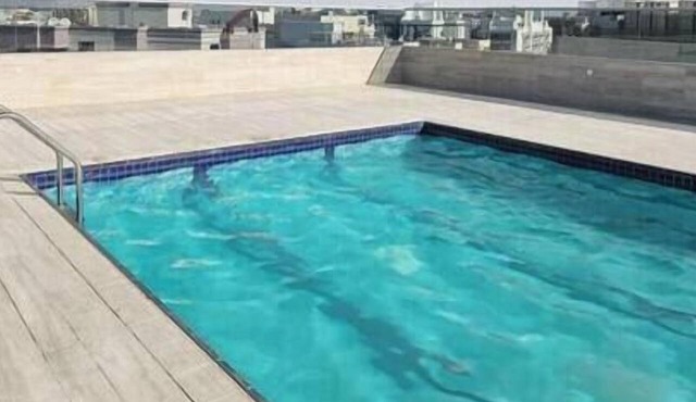 Luxury Apt W Pool Near Airport & Downtown Dubai