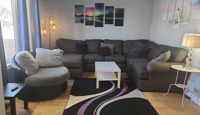 Northside Comfort 2 ! Pet Friendly Budget Rental Close to HSC and The Forks in Winnipeg