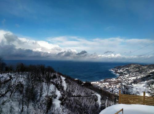 Opera Bungalov in Ordu