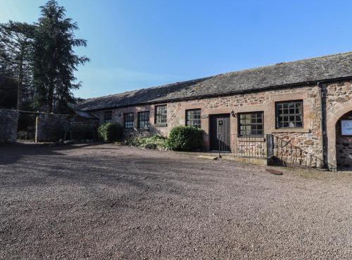 Periwinkle in Wooler