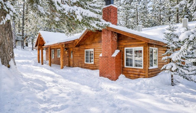 Pet Friendly Log Cabin: Fenced Deck, Propane BBQ & 2-Car Garage Access in Big Bear Lake