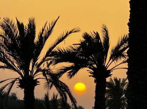 Riad chachia
