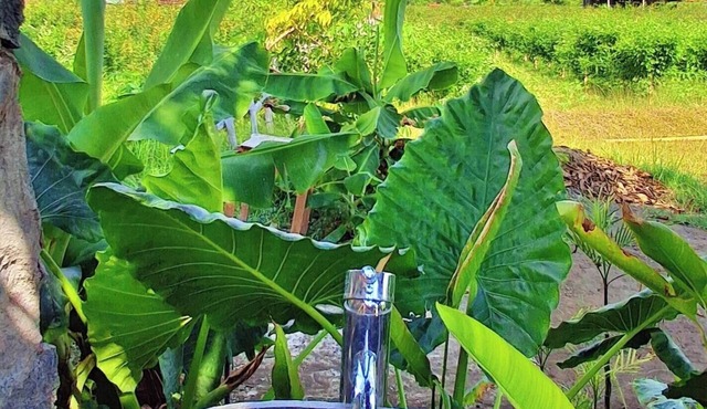 Treehouse Cabin w/Private Pool, Farm Views & Beach Access in Buleleng