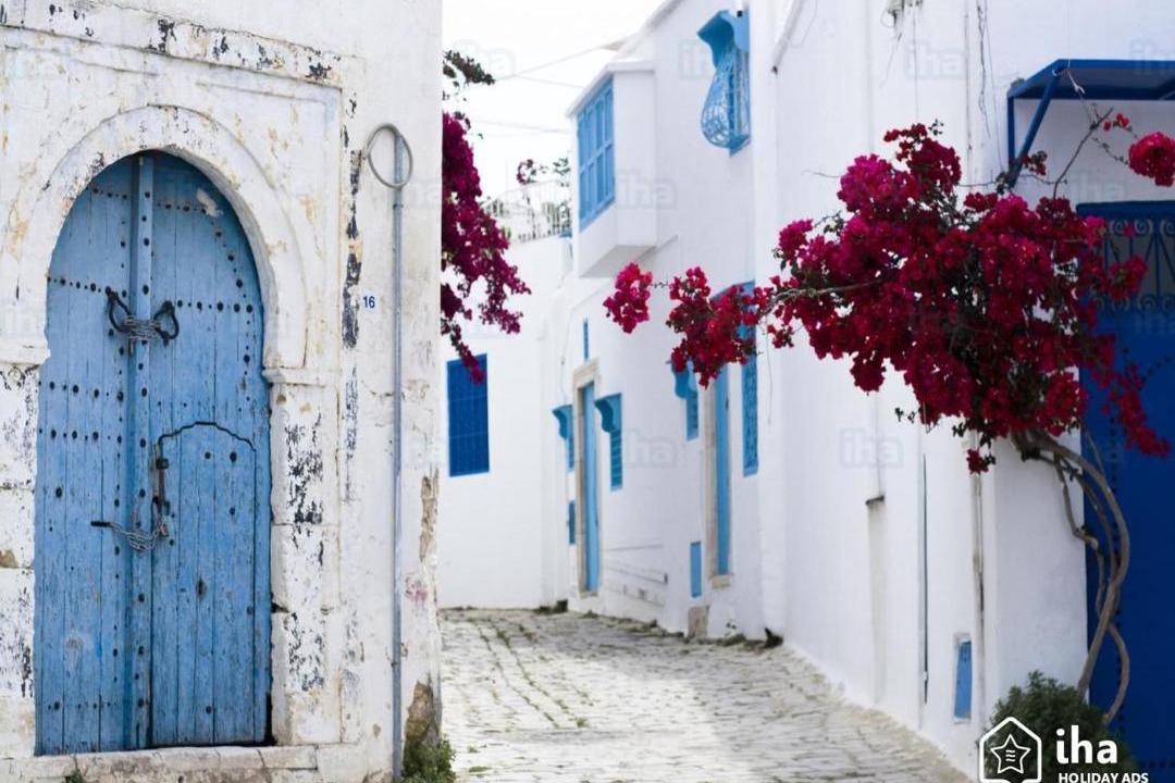 Sidi Bou Said Apartment | Au coeur de village de sidi bou