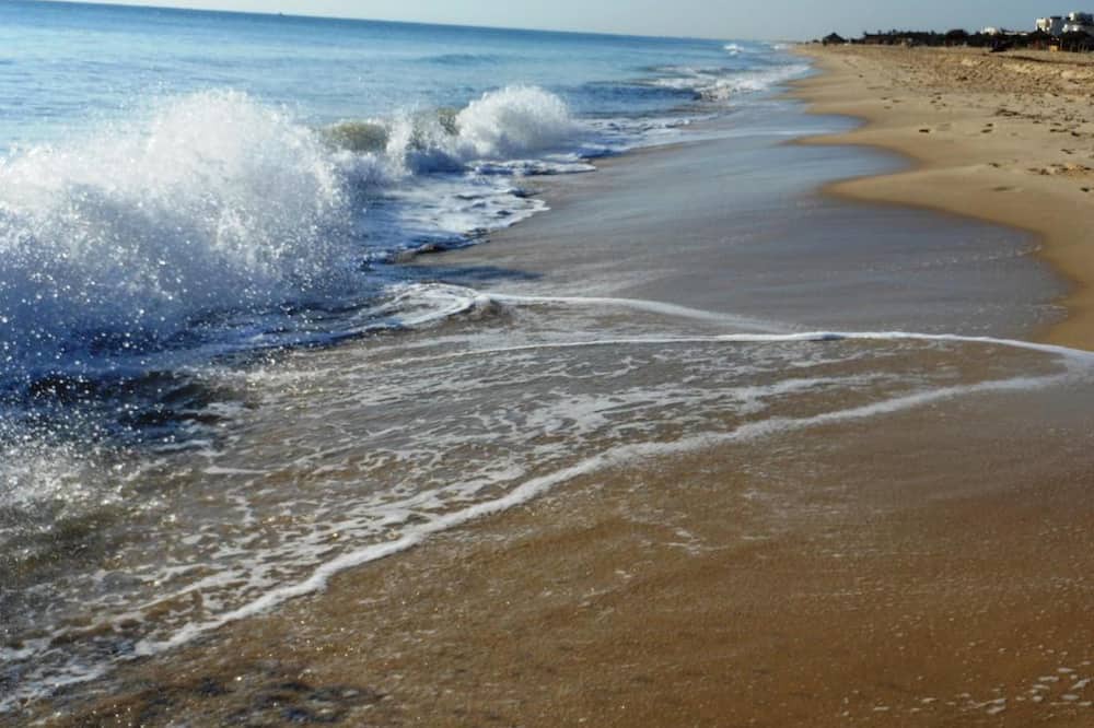 Photo of Others in Hammamet Sud