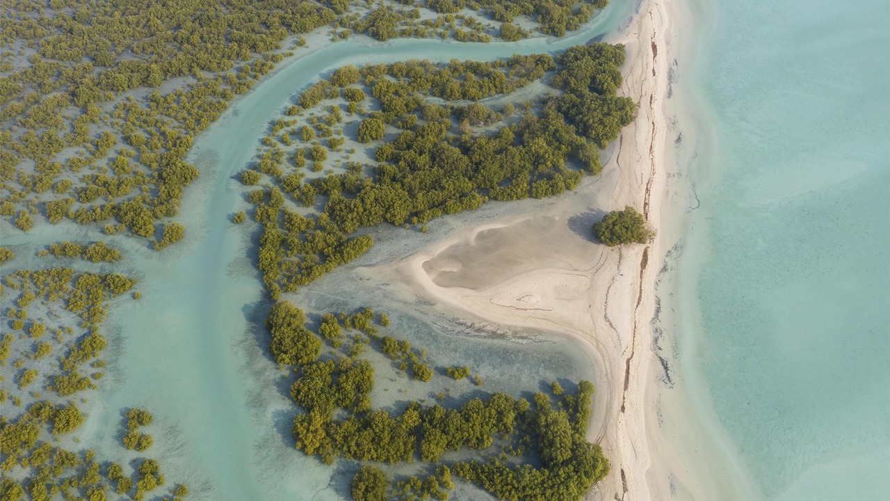 Photo of Outdoor in Sir Bani Yas Island