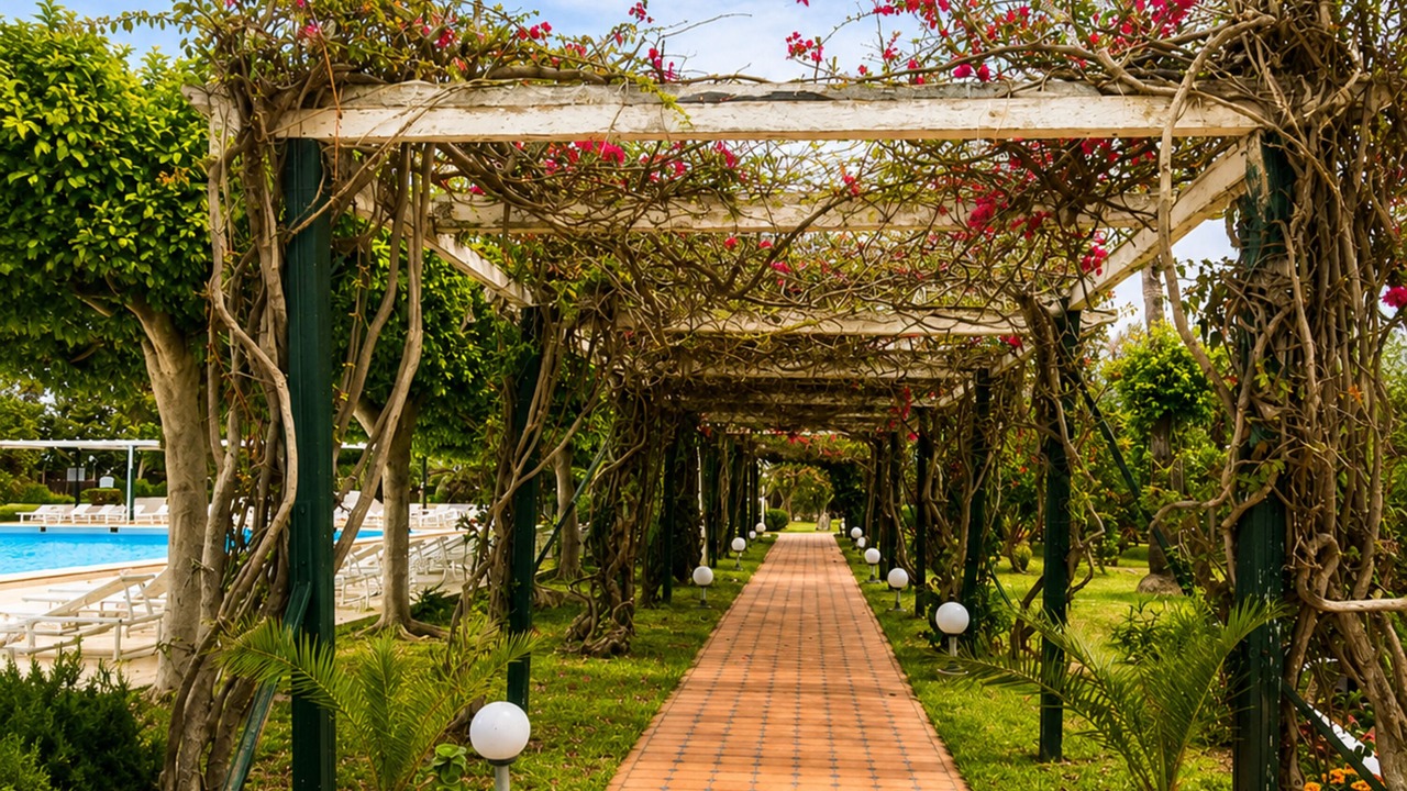Photo of Outdoor in Hammam Sousse