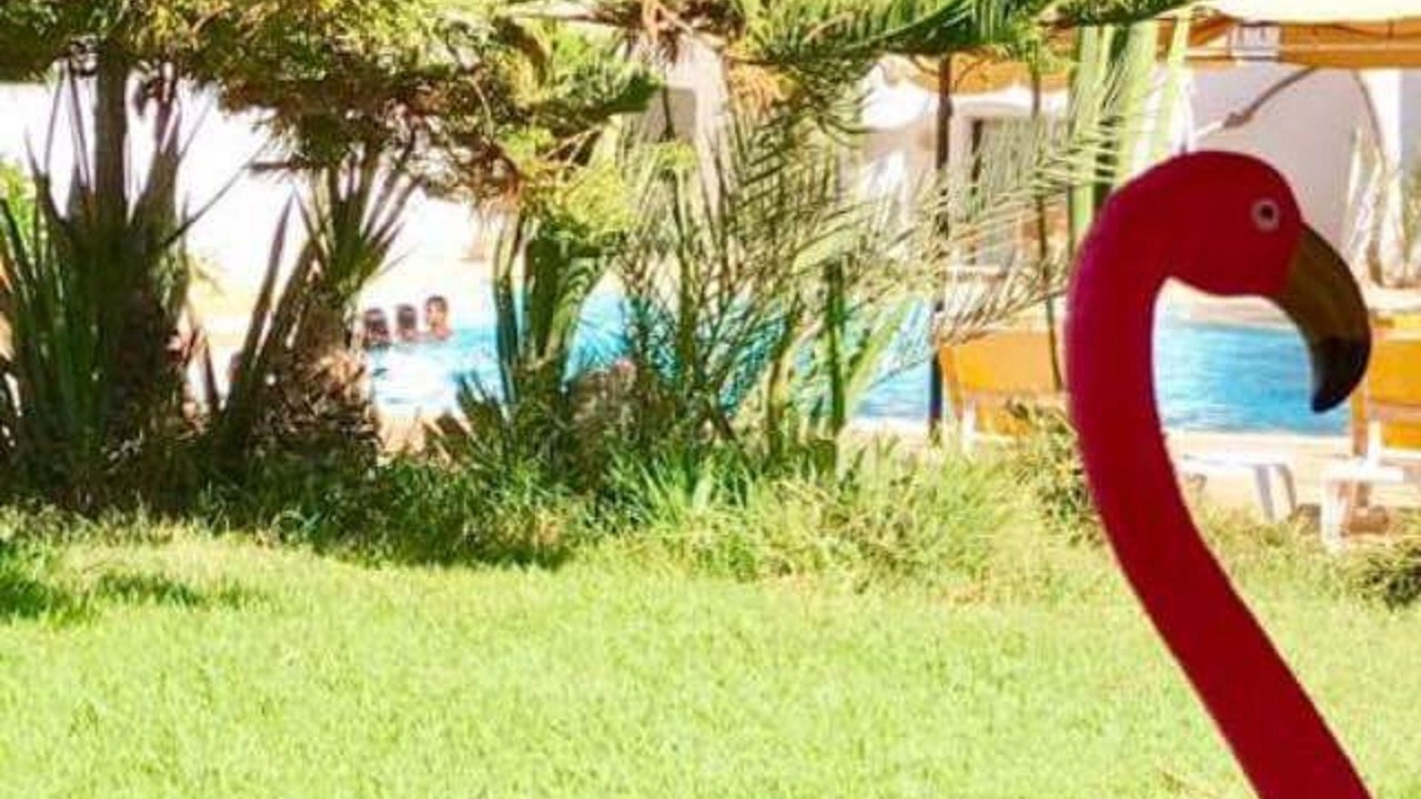 Photo of Outdoor in Mezraia