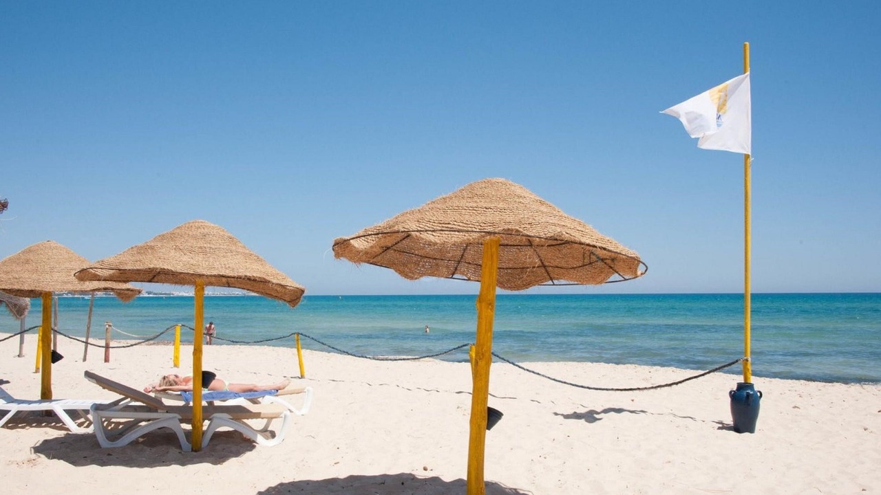 Photo of Others in Hammamet