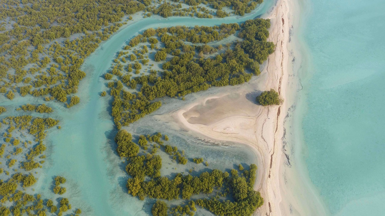Photo of Outdoor in Sir Bani Yas Island