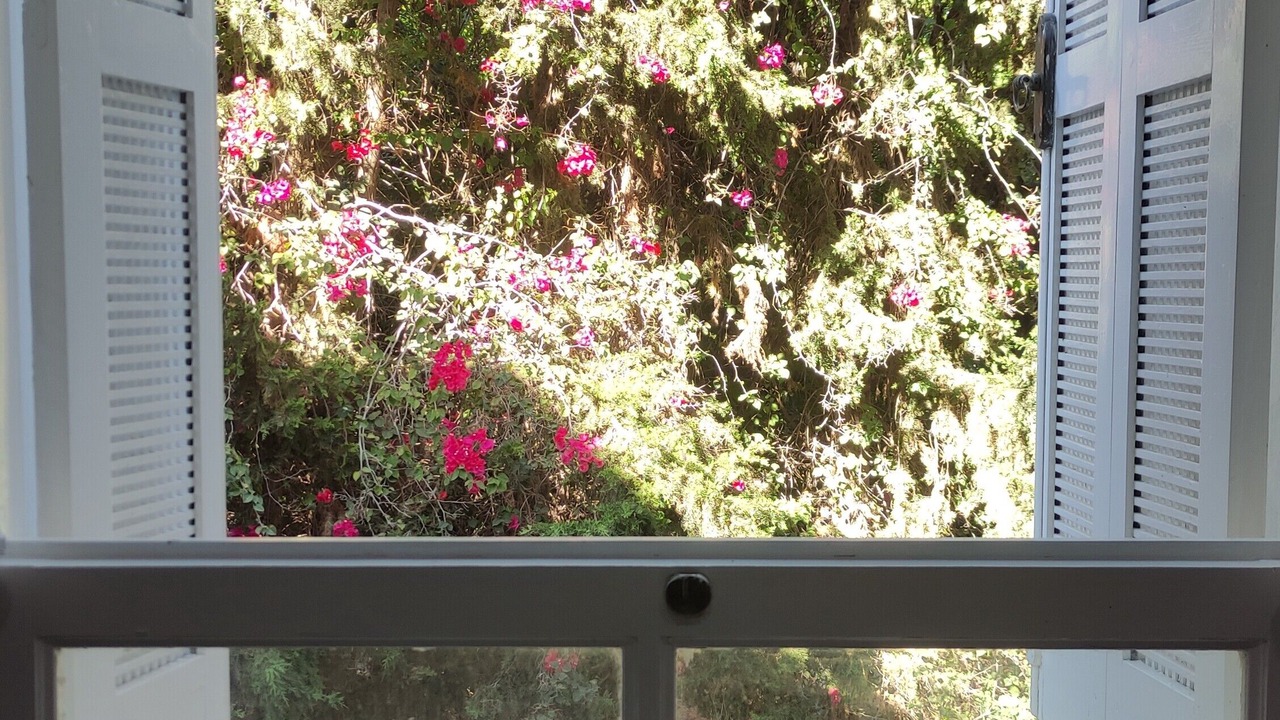 Photo of Patio Balcony in Yasmine