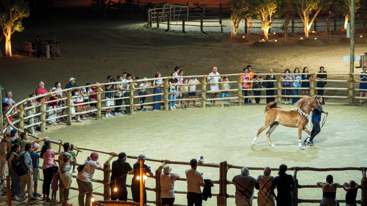 Photo of Others in Dubai