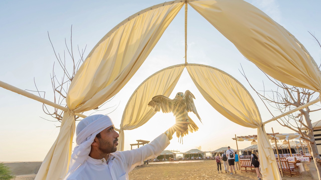 Photo of Others in Dubai