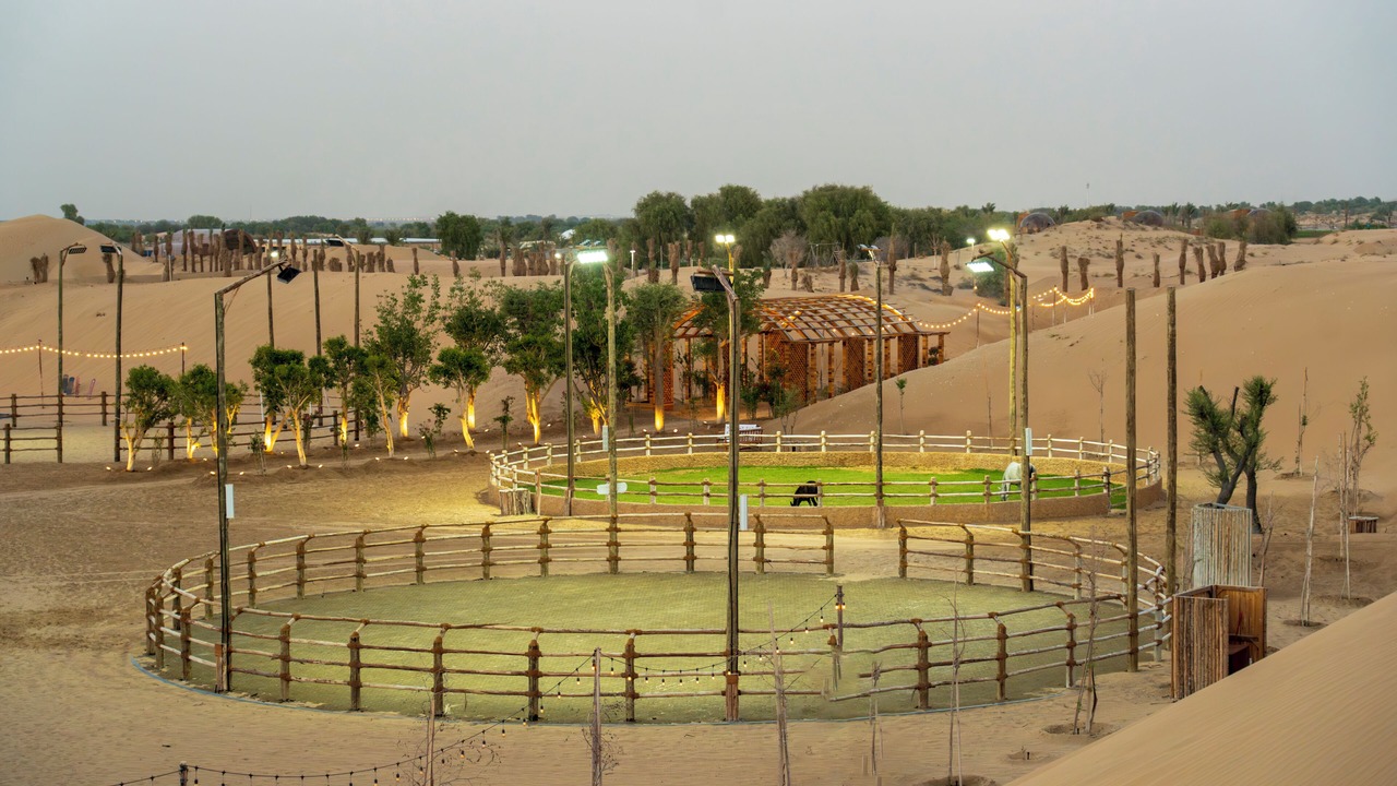 Photo of Others in Dubai