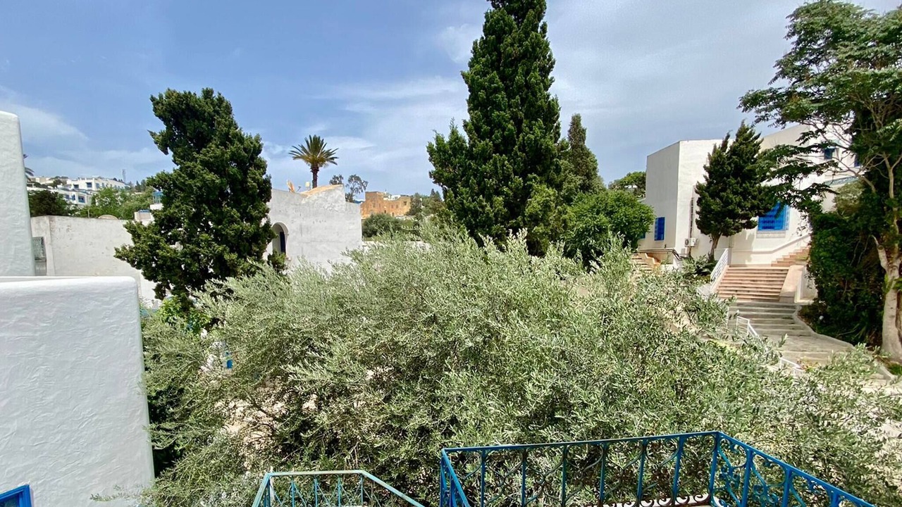 Photo of Patio Balcony in Sidi Bou Said