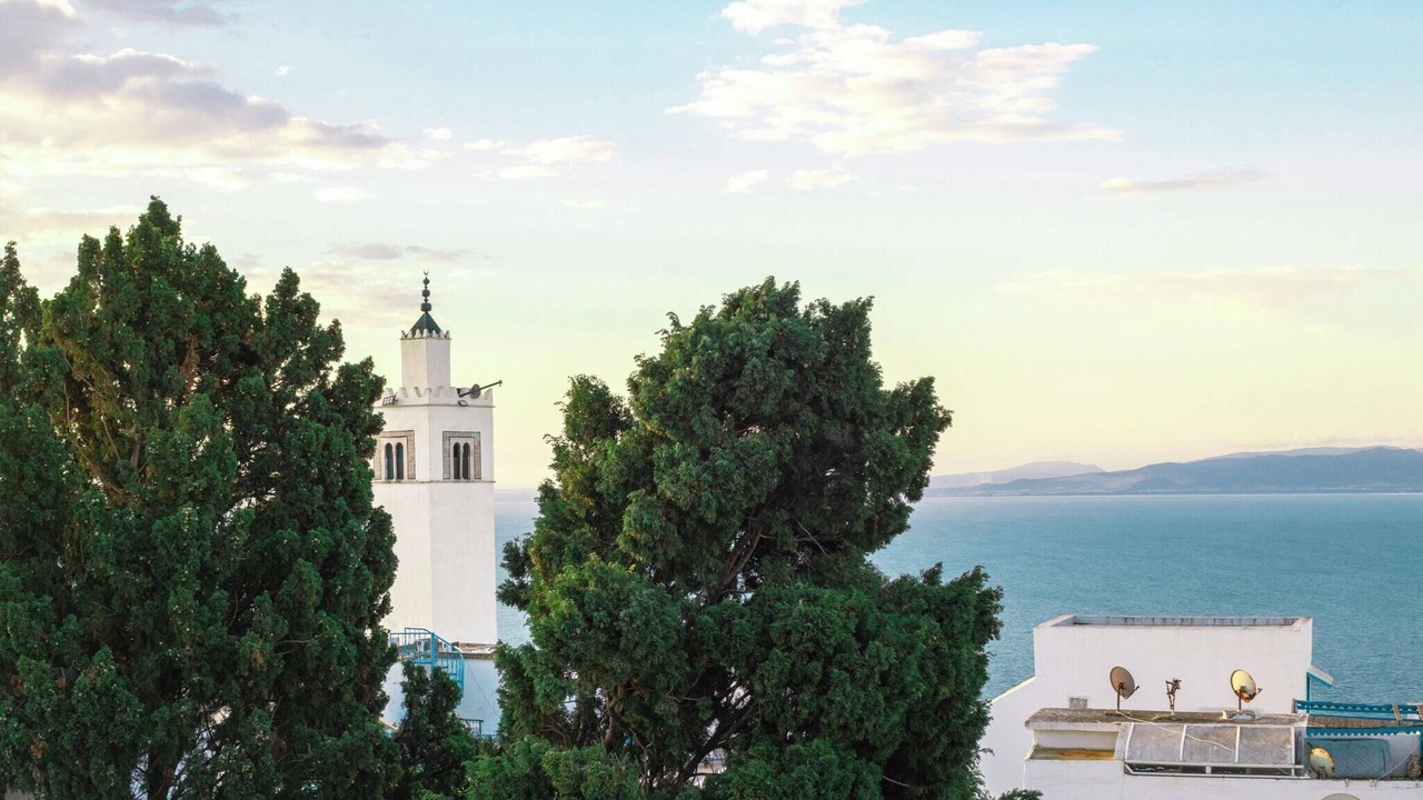 Photo of Patio Balcony in Sidi Bou Said