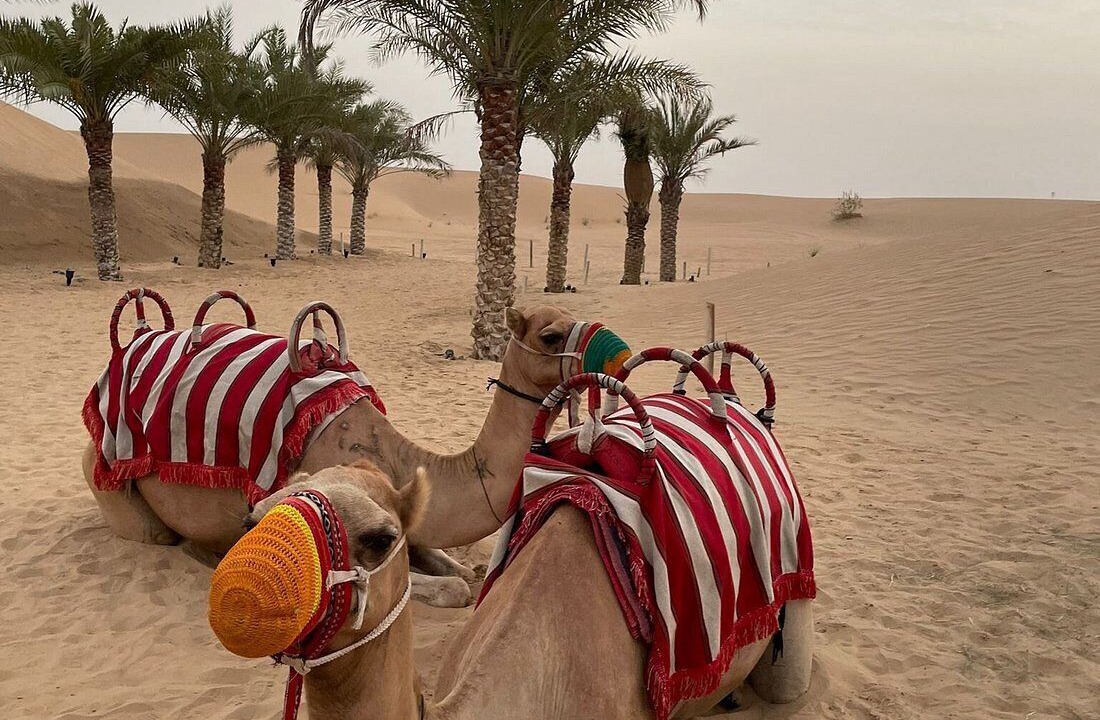 Photo of Others in Dubai Desert