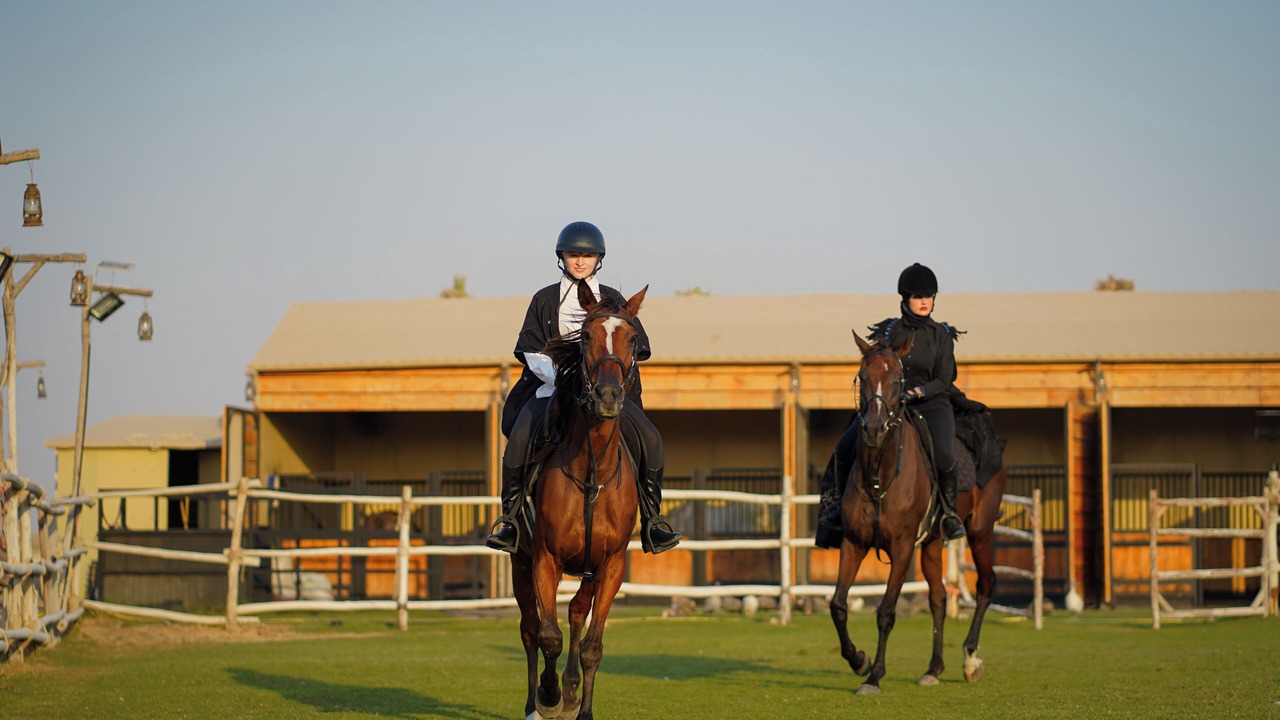 Photo of Others in Dubai Desert