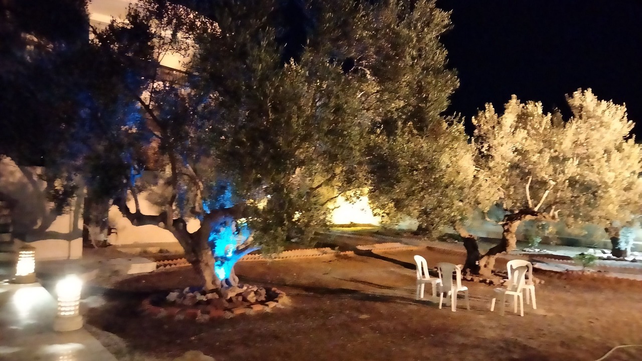 Photo of Outdoor in Sousse