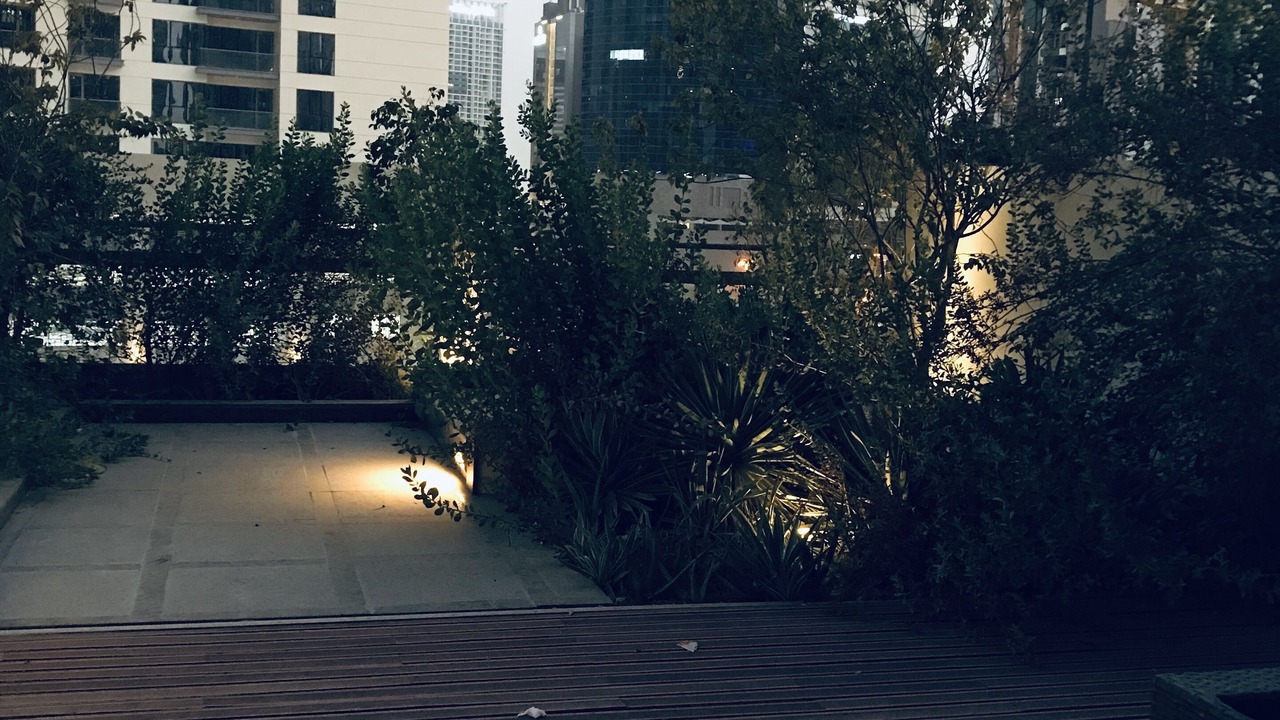 Photo of Outdoor in Downtown Dubai