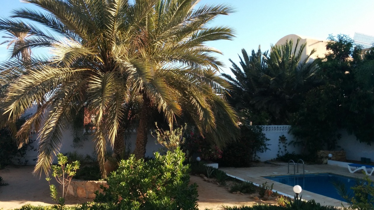 Photo of Outdoor in Zarzis