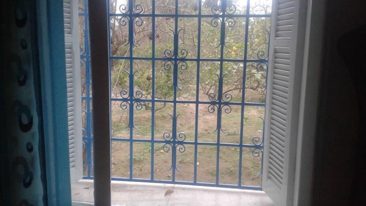 Photo of Others in Hammamet
