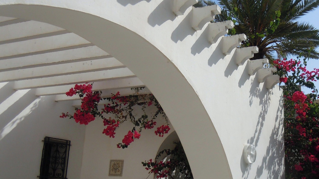 Photo of Outdoor in Mahdia