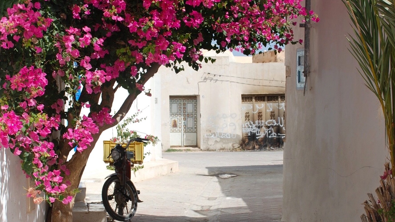 Photo of Outdoor in Erriadh