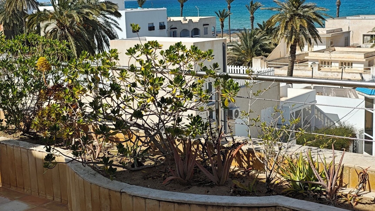 Photo of Outdoor in Mahdia