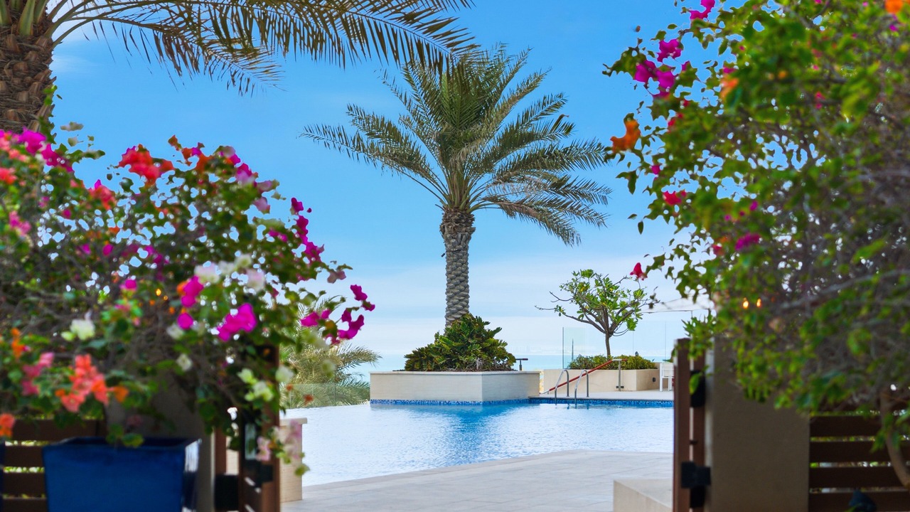 Photo of Outdoor in Saadiyat Cultural District