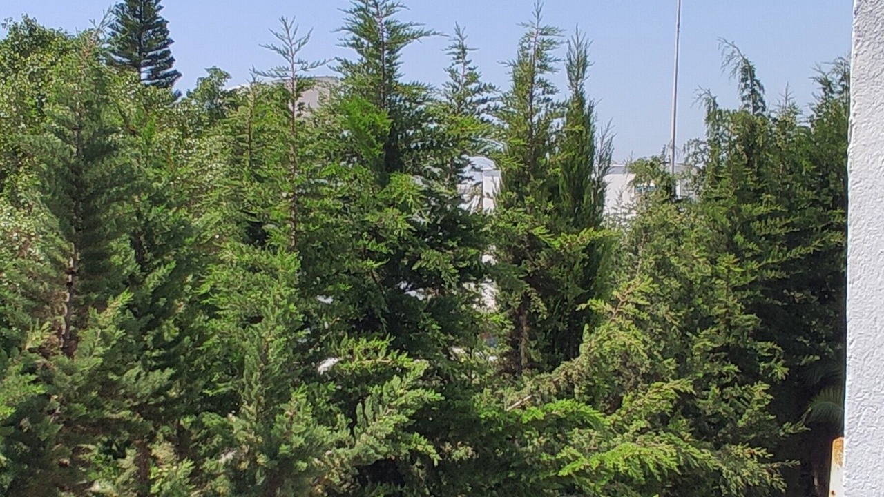 Photo of Outdoor in Yasmine